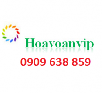 hoavoanvip